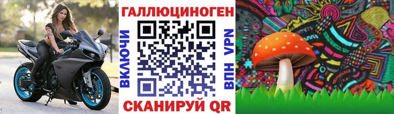 Псилоцибиновые грибы Cubensis  Видное 