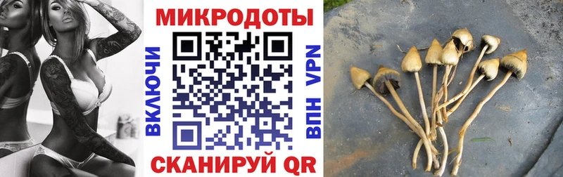 Псилоцибиновые грибы ЛСД Видное